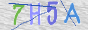 キャプチャ画像