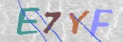 キャプチャ画像