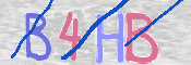 キャプチャ画像