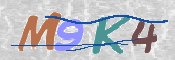 キャプチャ画像